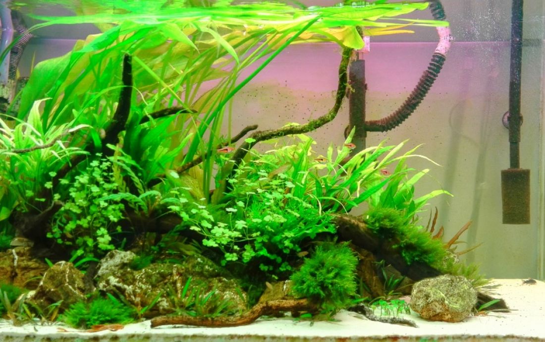 182l - Skromne - 90x45x45cm - artur_89