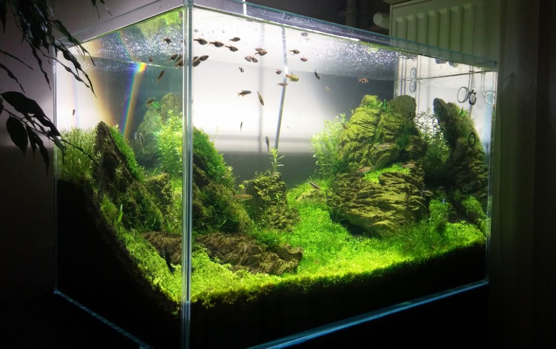 200l - Ciezki 
