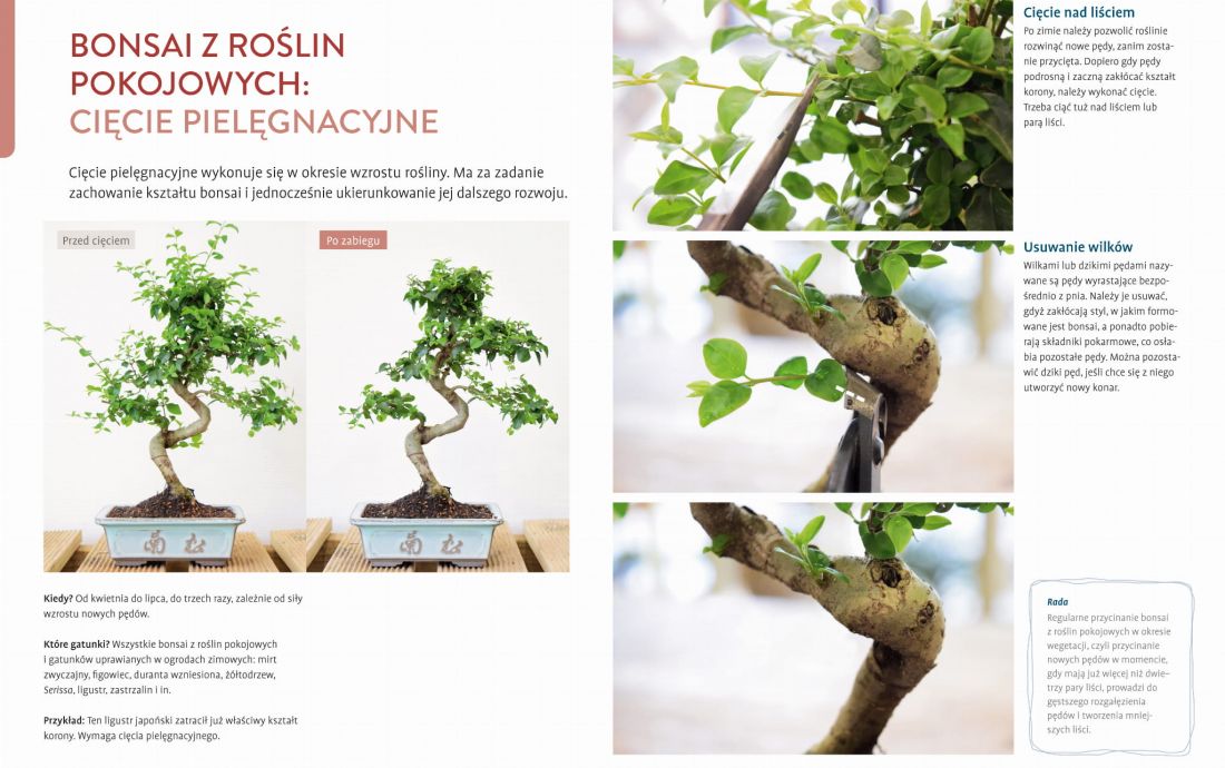 Nowe książki przyrodnicze w ofercie sklepu