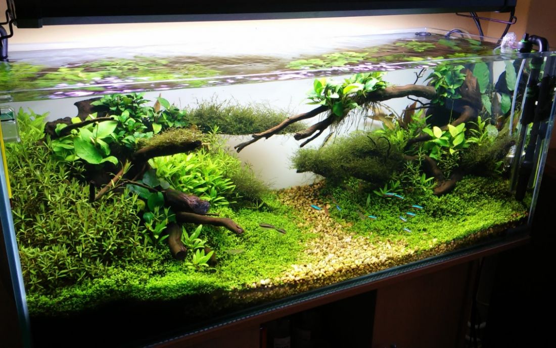 160l - Michał Buczyński 