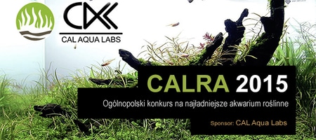 Ostatni dzień na zgłoszenie pracy konkursowej