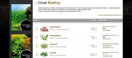 Przebudowany dział roślin