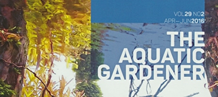 Nowy numer kwartalnika The Aquatic Gardener (29-2)