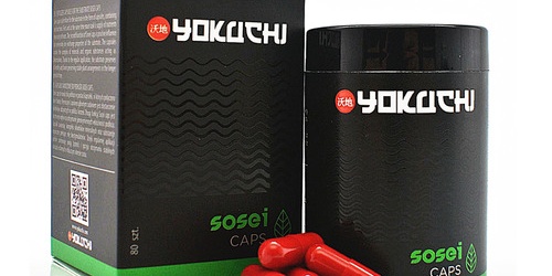 Yokuchi - nowa marka w świecie akwarystyki roślinnej