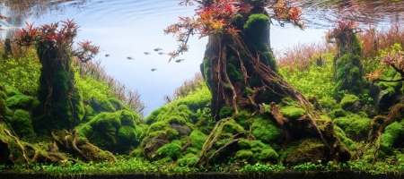 Nowe inspiracje