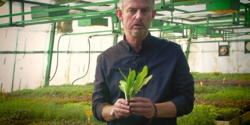 Plantacja roślin Karel Rataj (film)