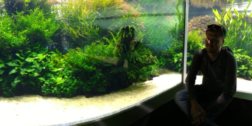 Aktualne zdjęcia z ekspozycji Takashiego Amano w Lizbonie