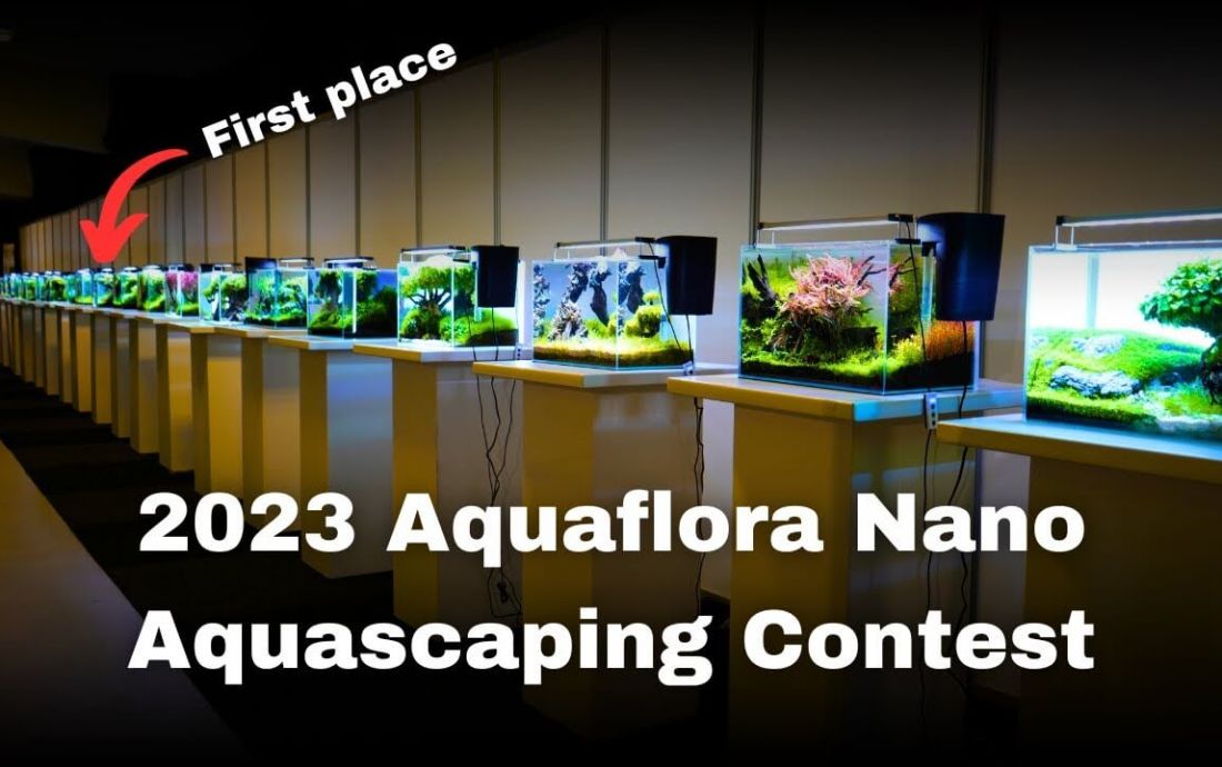 Aquaflora Nano Contest 2023