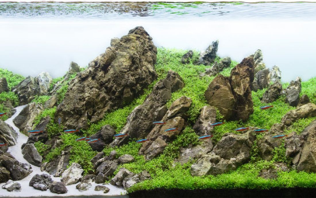 371l - Mountain Stream - Marcin Zając 