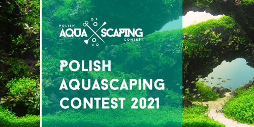 Wyniku konkursu Polish Aquascaping Contest 2021