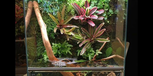 Nowy dział na Forum - Terrascaping