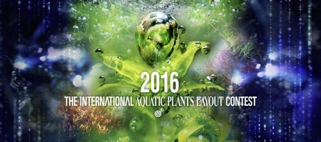 Konkurs IAPLC 2016