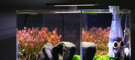 Skimmer AZOO Skim 250
