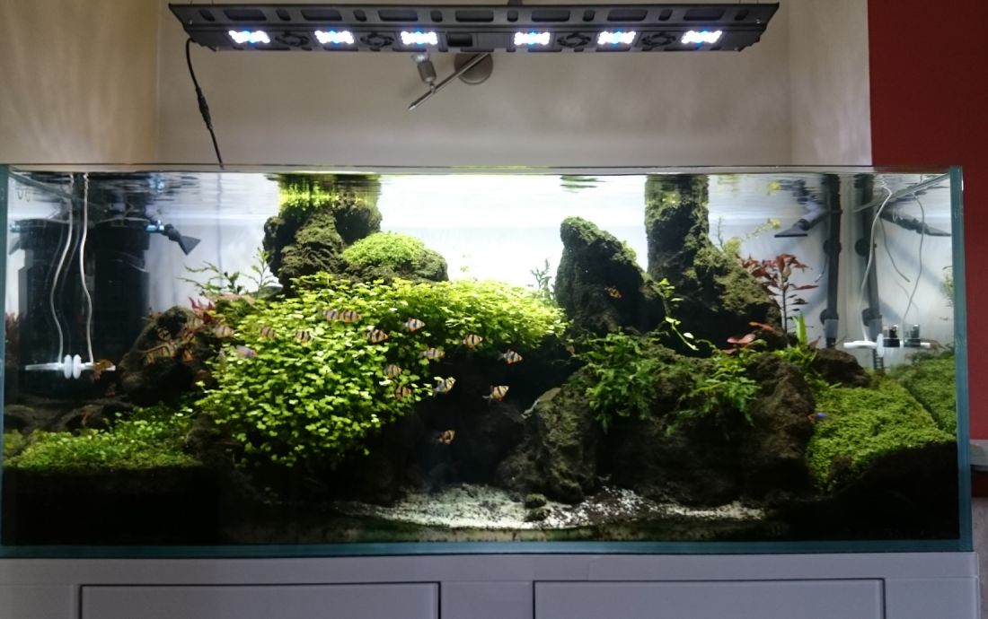 540l - Trio - zadymny