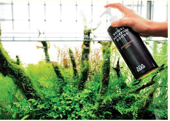 Nawożenie w Akwarium Naturalnym