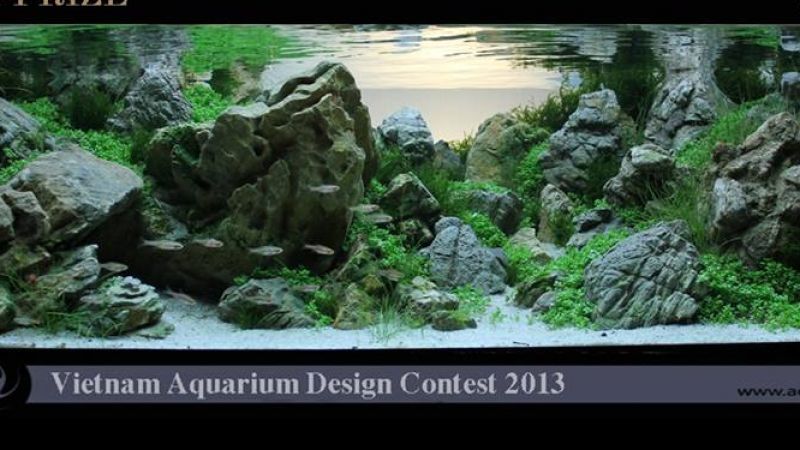 Wyniki Vietnam Aquarium Design Contest 2013