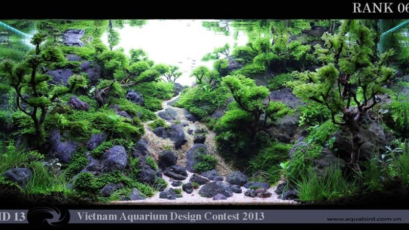 Wyniki Vietnam Aquarium Design Contest 2013