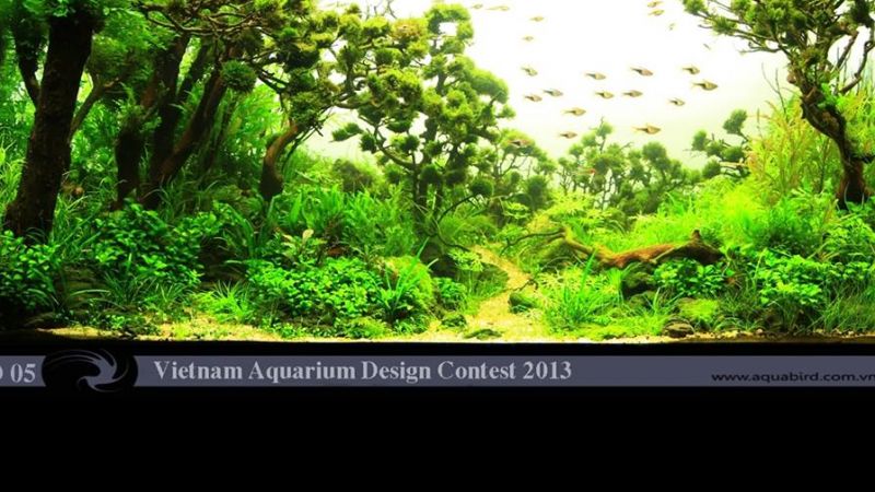 Wyniki Vietnam Aquarium Design Contest 2013