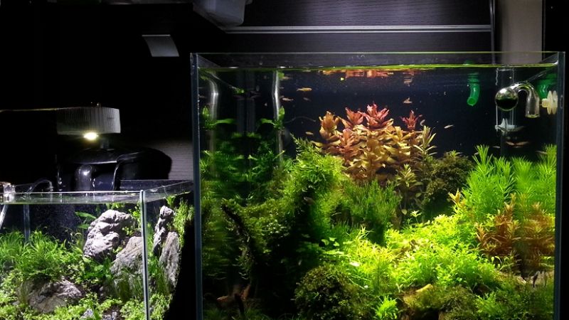 064l - Kostka z oświetleniem LED - froster