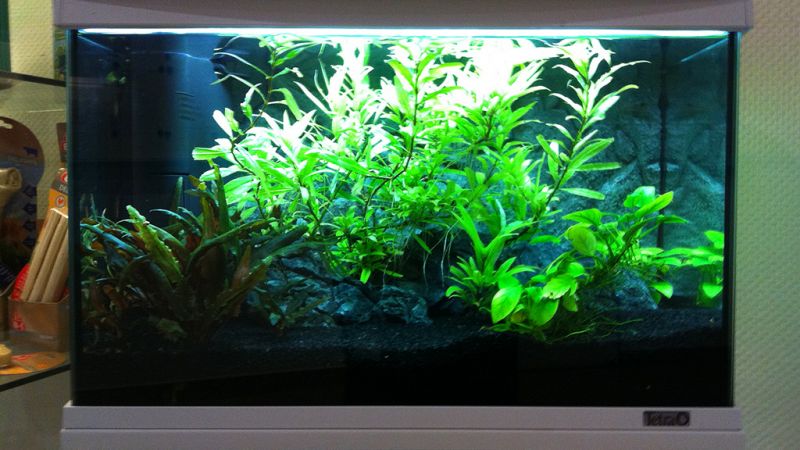 Wizyta w fabryce Tetra