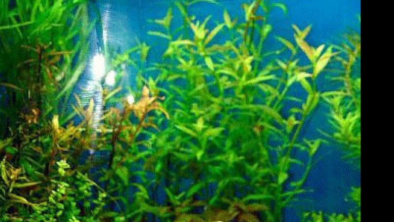 Pomiar poziomu CO2 i jego dystrybucja w zbiorniku
