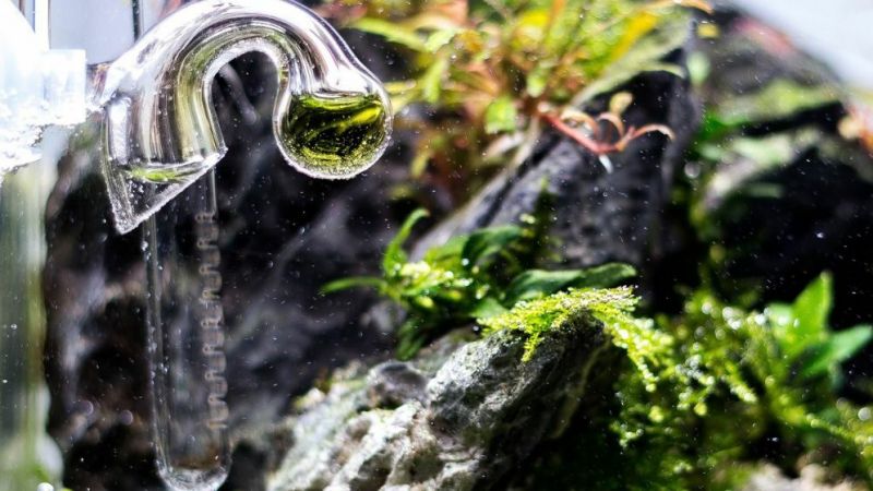 Pomiar poziomu CO2 i jego dystrybucja w zbiorniku