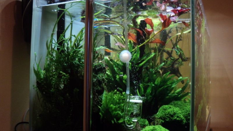 Zrób to sam: Lampa LED
