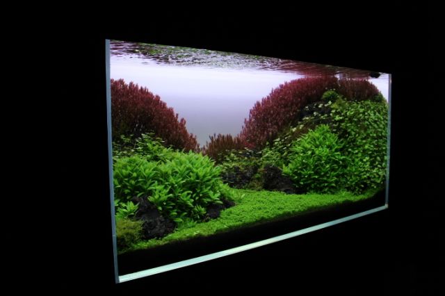Zakładanie akwarium 90x45x45cm (180l)