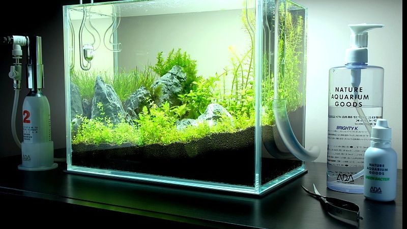 Pokaz zakładania NANO akwarium