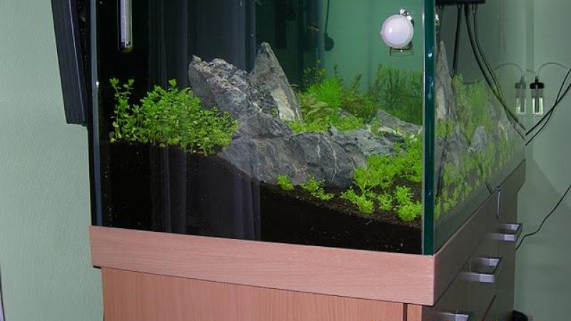 Tutorial 120x50x60cm (360l)