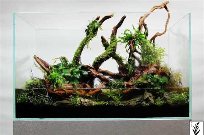 Zakładanie akwarium 60x30x36cm