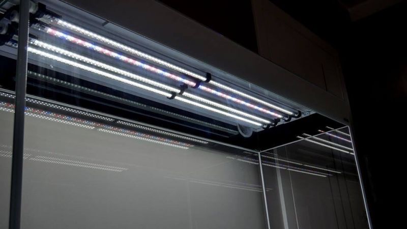 Zakładanie akwarium z zestawem Glossy