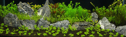 Tutorial 120x50x60cm (360l)