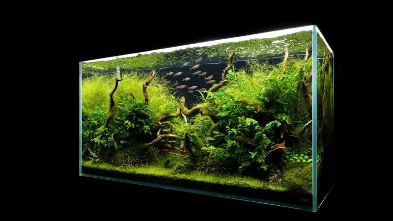Zakładanie akwarium 120x45x60cm