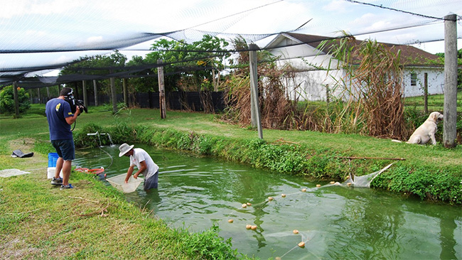 Program "Fish Tank Kings" na kanale National Geographic
