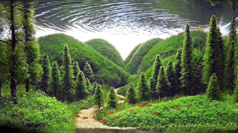 Wyniki głosowania w konkursie Planted Aquarium Design Contest 2013