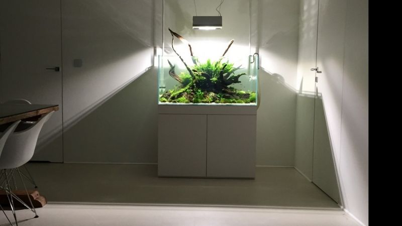 Finał konkursu Tetra Hardscape Challenge