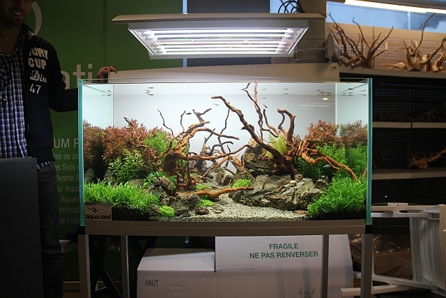 Konkurs Aquascape Paris 2012