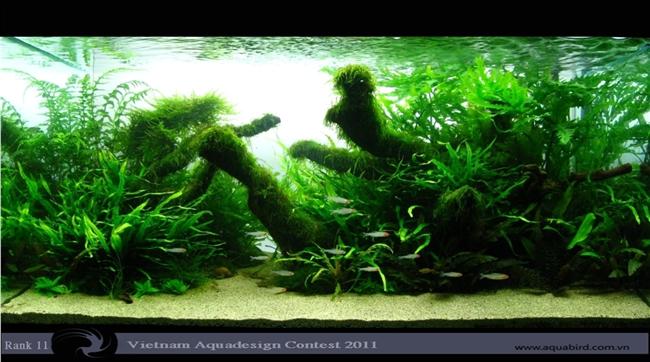 Wyniki konkursu Vietnam Aquatic Design Contest 2011
