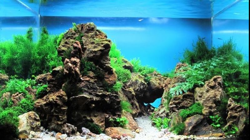 Wyniki konkursu Vietnam Aquatic Design Contest 2011