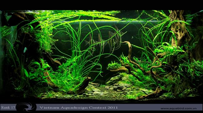 Wyniki konkursu Vietnam Aquatic Design Contest 2011