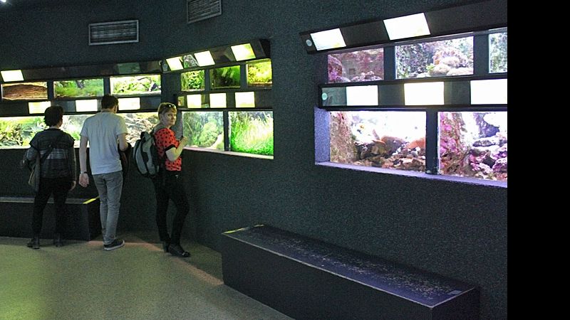 Fotorelacja z paryskiego Aquarium tropical de la Porte Dorée 