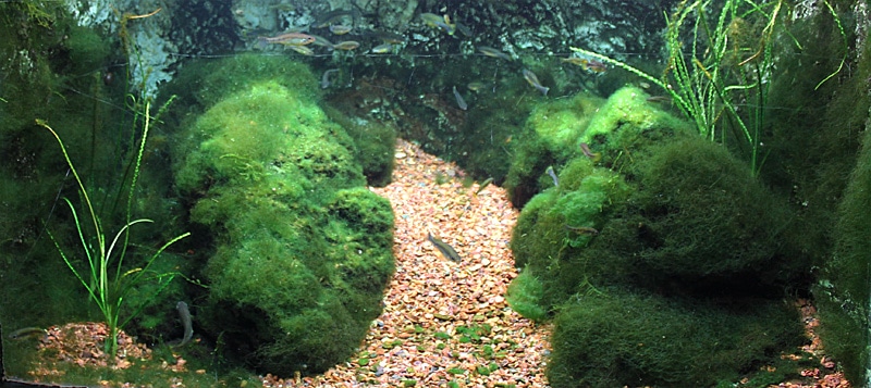 Fotorelacja z paryskiego Aquarium tropical de la Porte Dorée 