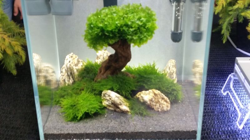 Fotorelacja z Targów Aqua&ZOO w Poznaniu