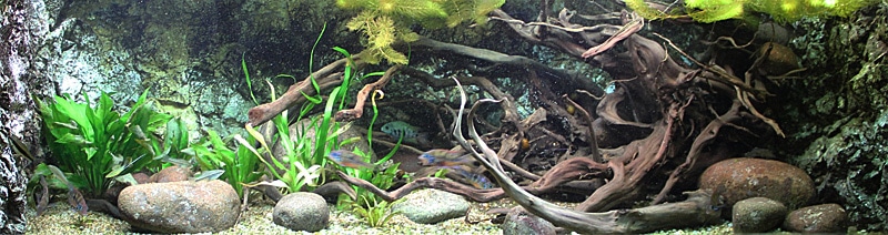 Fotorelacja z paryskiego Aquarium tropical de la Porte Dorée 