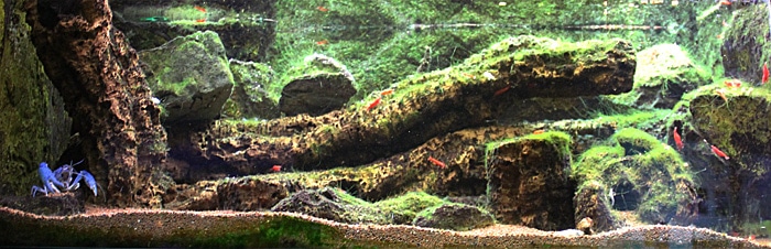 Fotorelacja z paryskiego Aquarium tropical de la Porte Dorée 