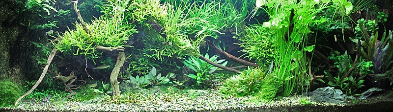 Fotorelacja z paryskiego Aquarium tropical de la Porte Dorée 