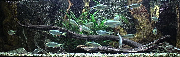 Fotorelacja z paryskiego Aquarium tropical de la Porte Dorée 