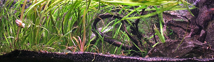 Fotorelacja z paryskiego Aquarium tropical de la Porte Dorée 