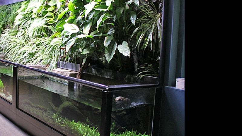 Fotorelacja z paryskiego Aquarium tropical de la Porte Dorée 